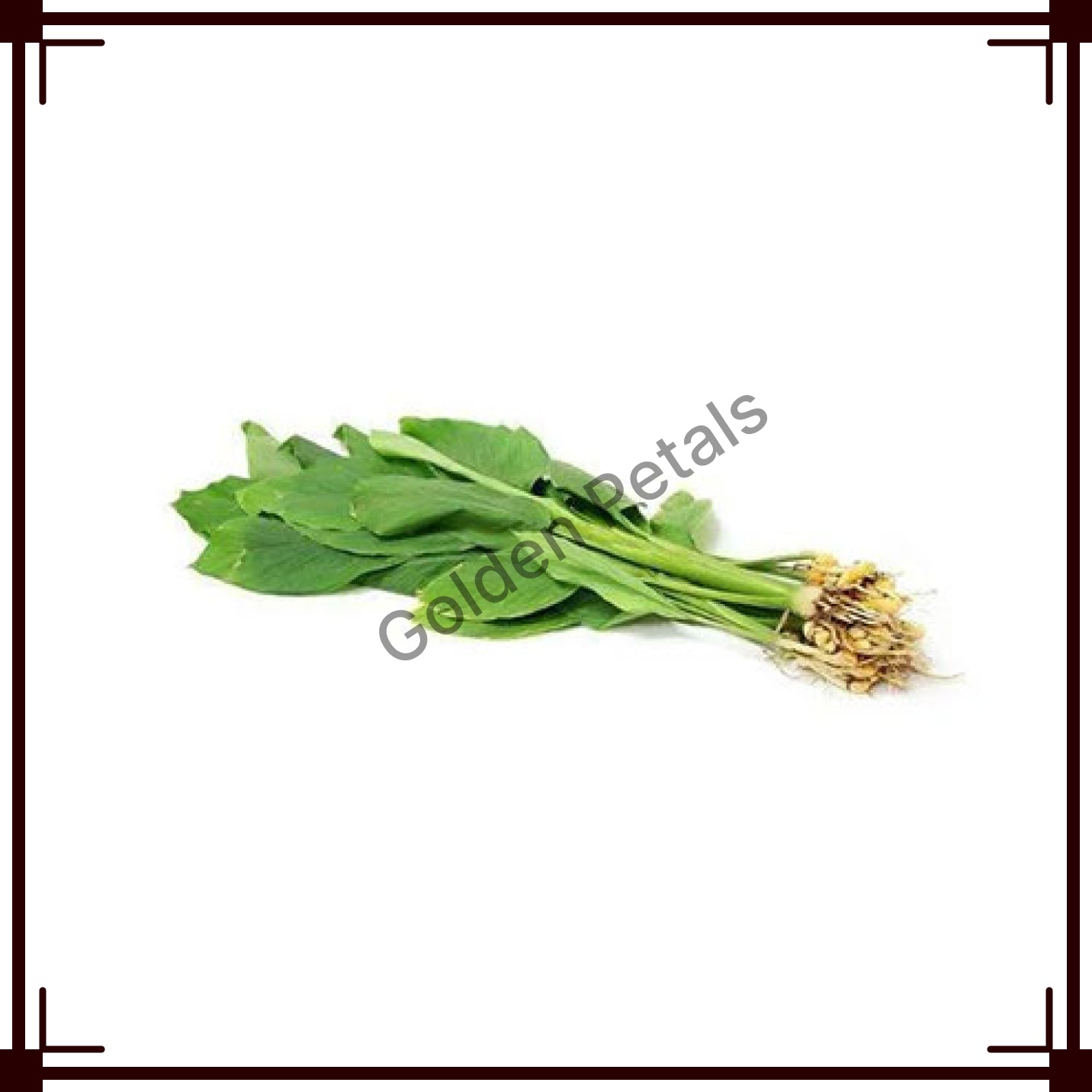 Manjal Kothu (Turmeric -GP- PS-TUR-001) Pongal / Sankranthi