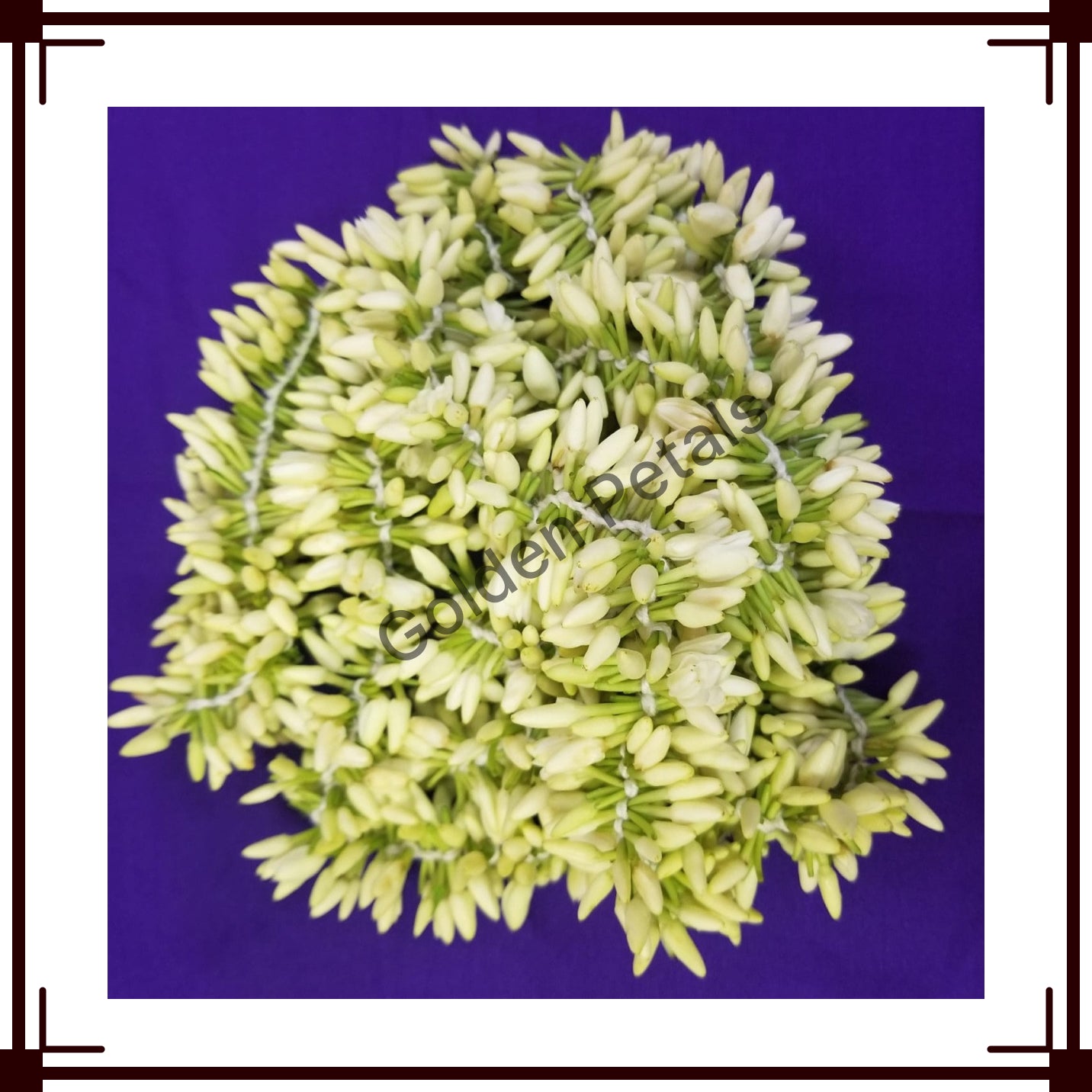 Mullai String 5FT