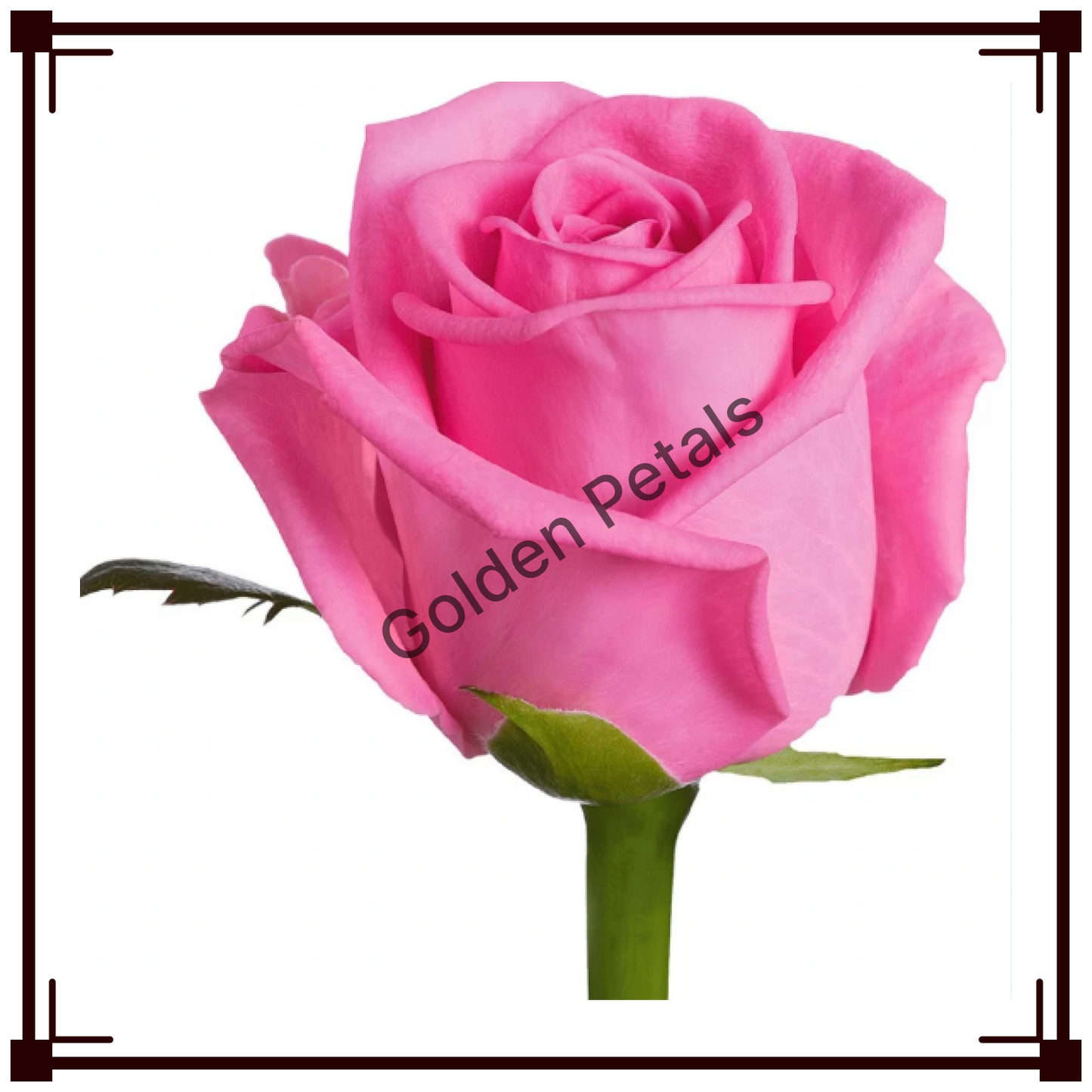 Flowers 1