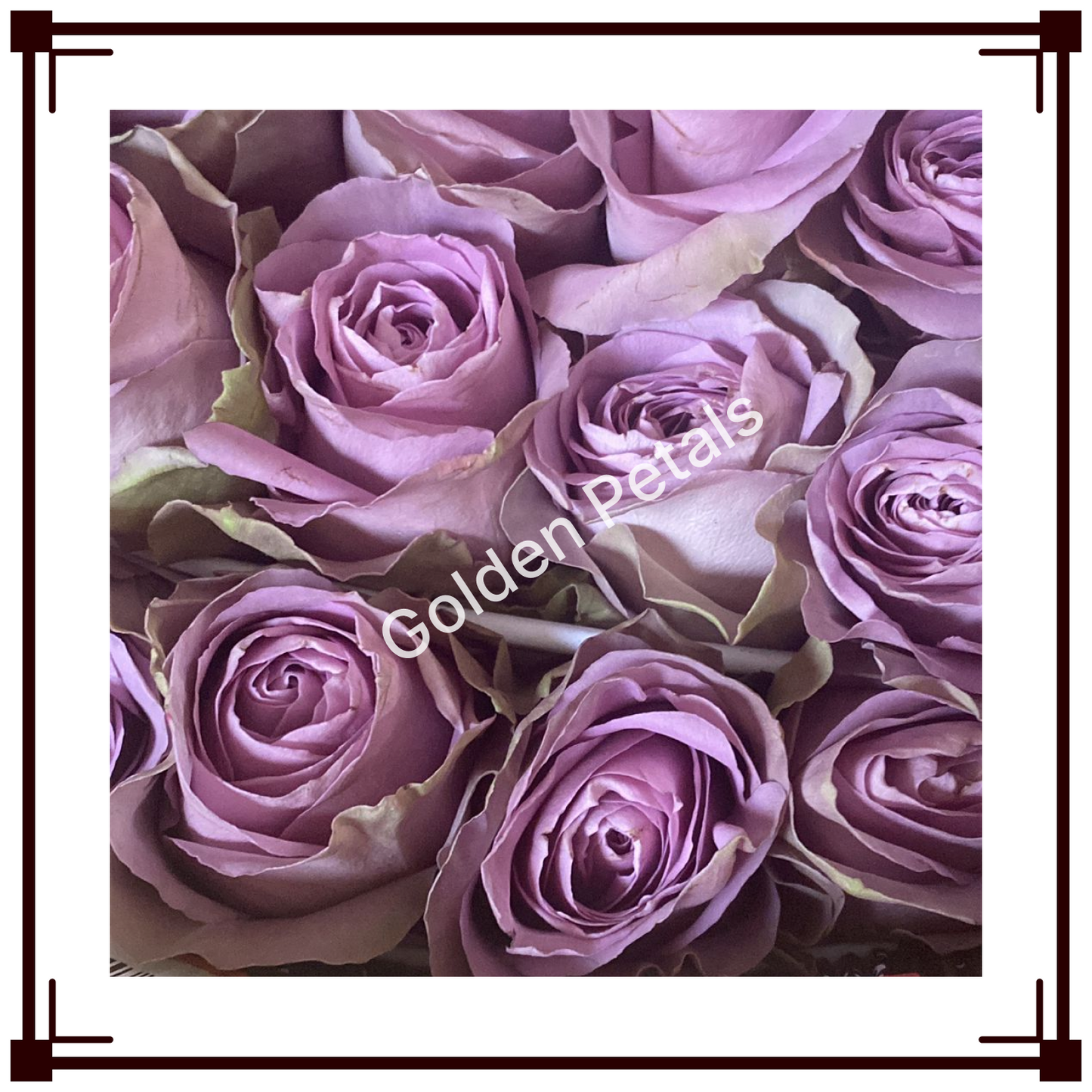 Flowers 2