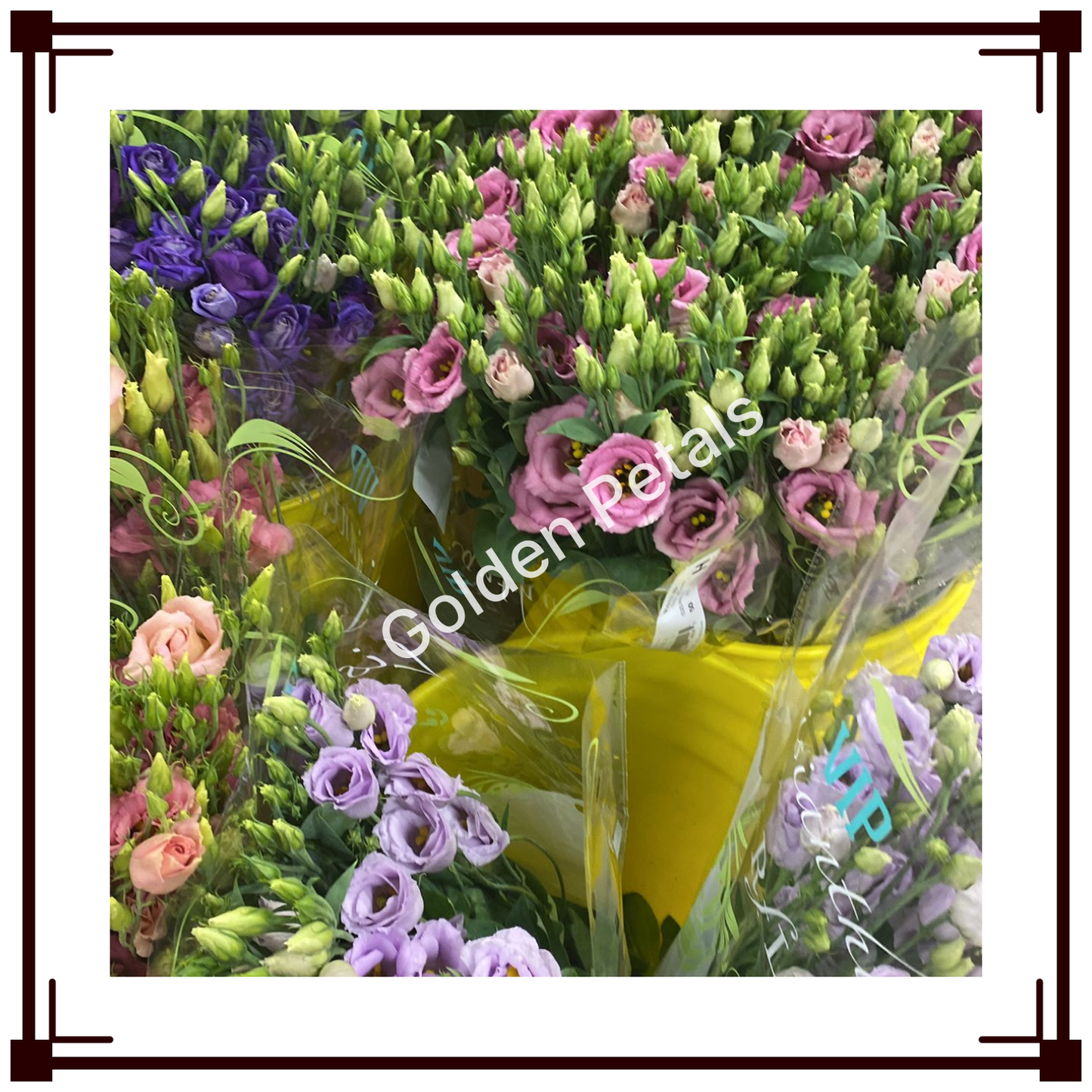 Flowers 5