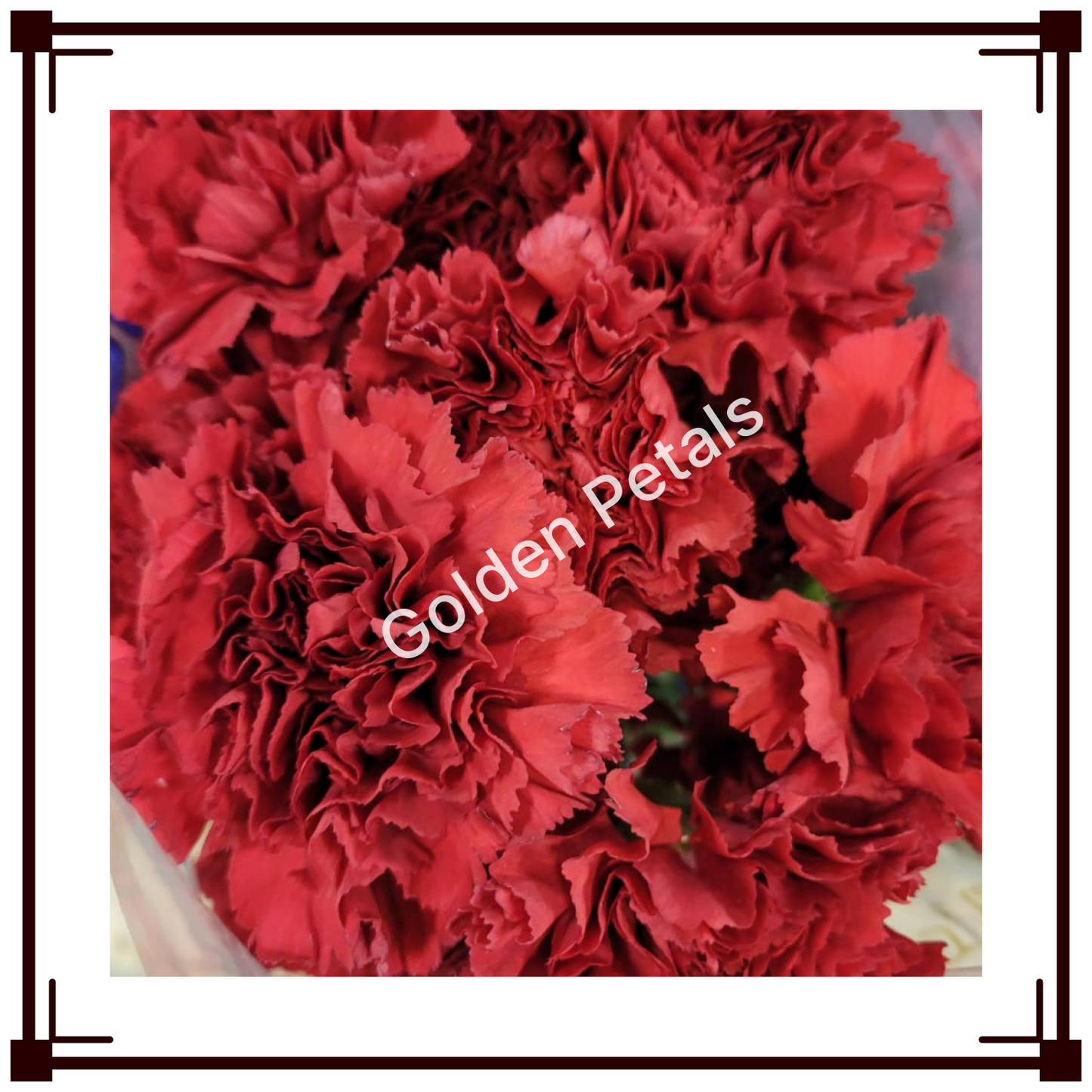 Flowers 7