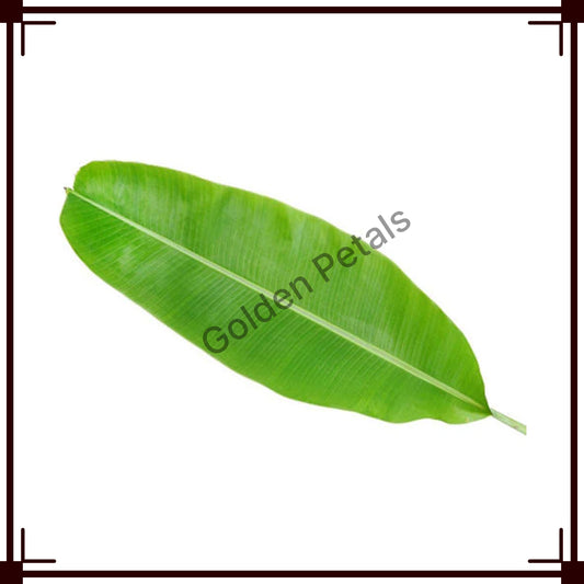 Banana Leaves Big (GP-FL-BLB-006)