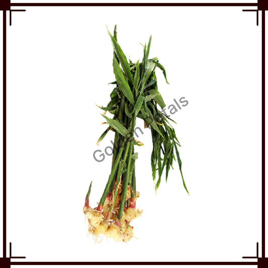 Inji Kothu (Ginger - GP-PS-GIN-001) Pongal / Sankranthi