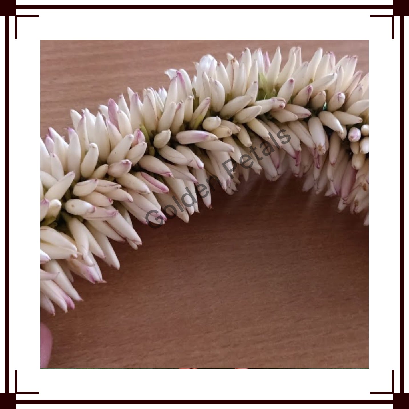 Jathimalli String 5ft