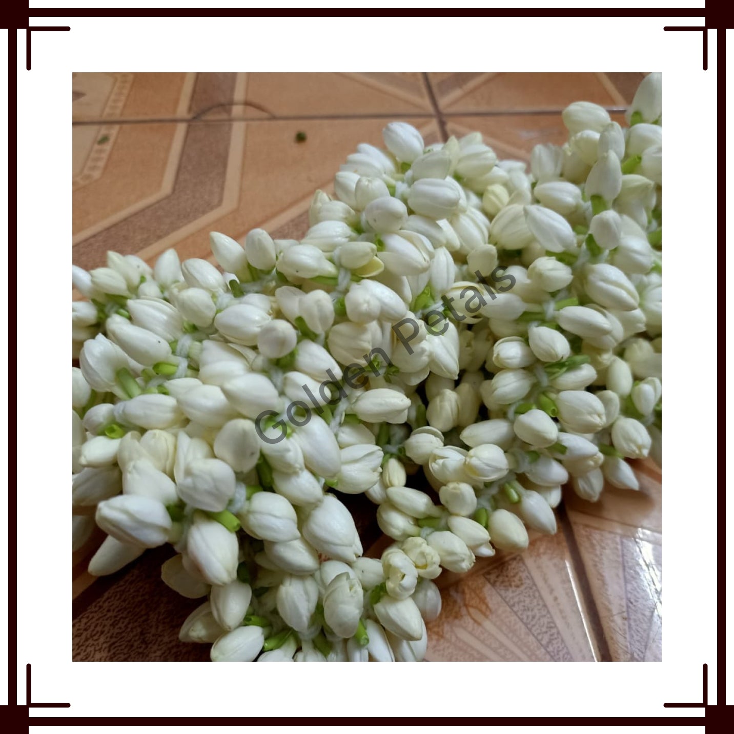 Jasmine String