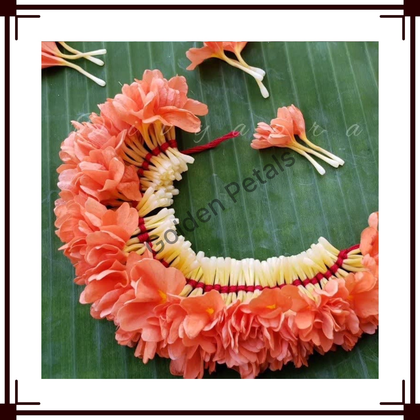 Kanakambaram String 4FT (FF-KAS-021)