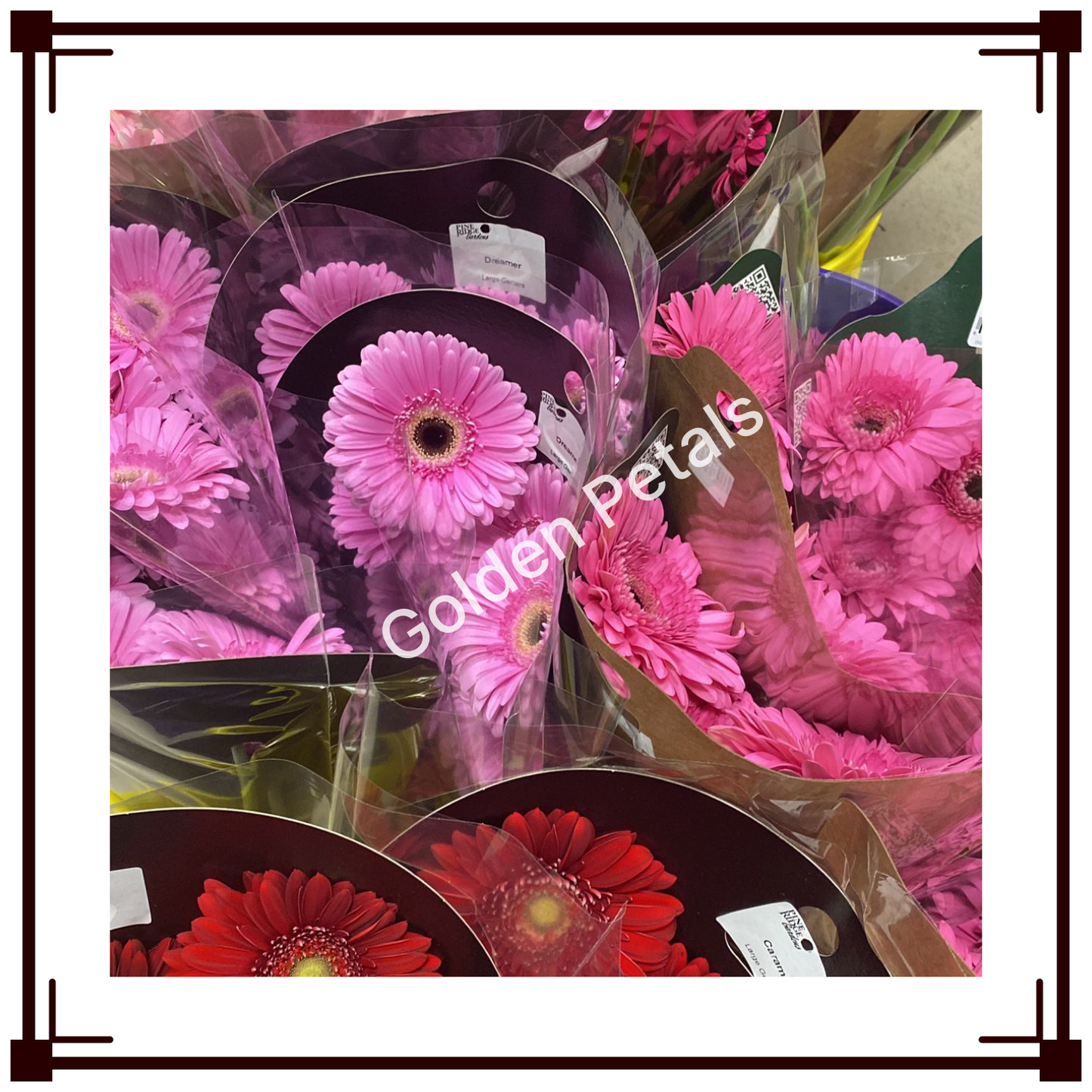 Flowers 3