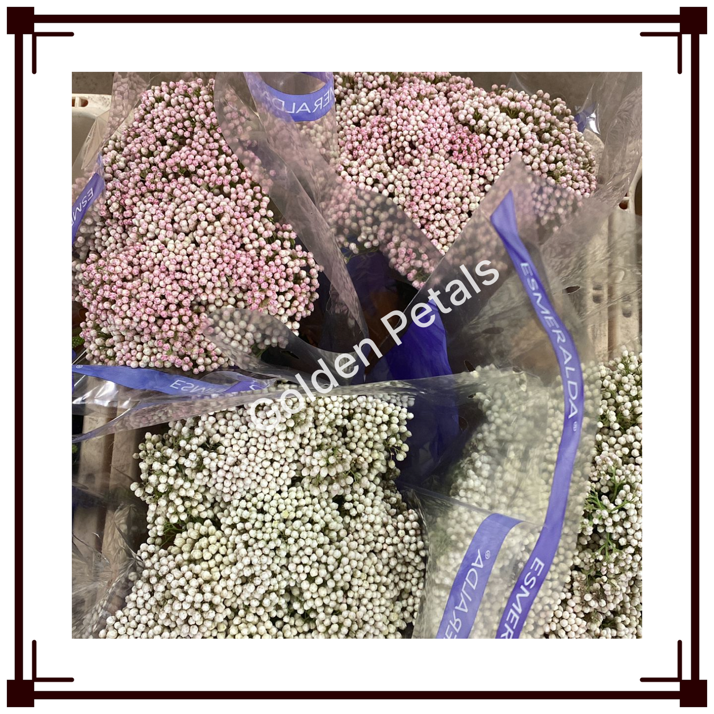 Flowers 4