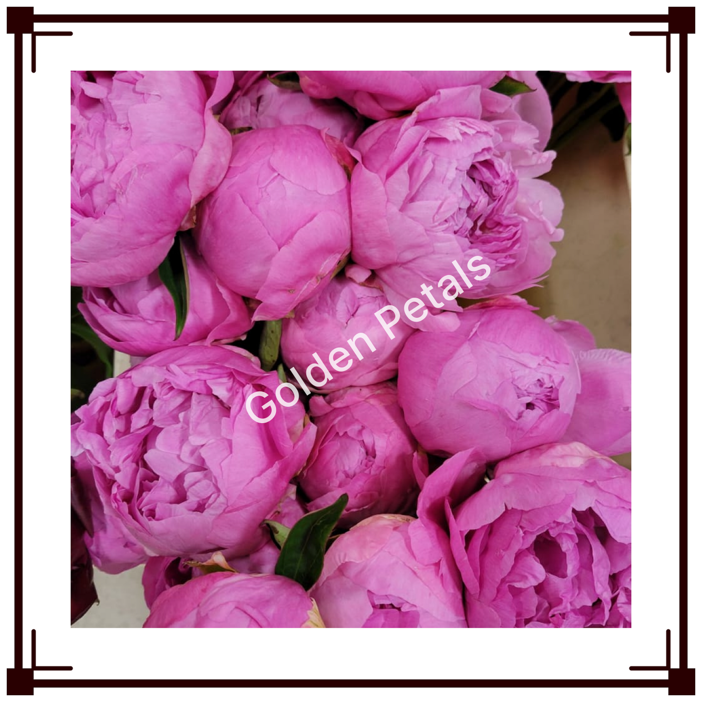 Flowers 6